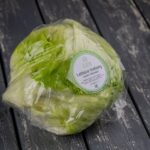 Salad icebarg